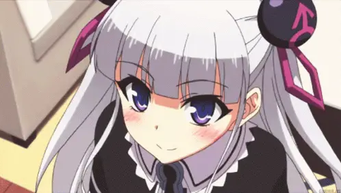 Para protagonis utama dalam cerita Testament of Sister New Devil Gambar Mio dan Maria Naruse, karakter utama dari Testament of Sister New Devil