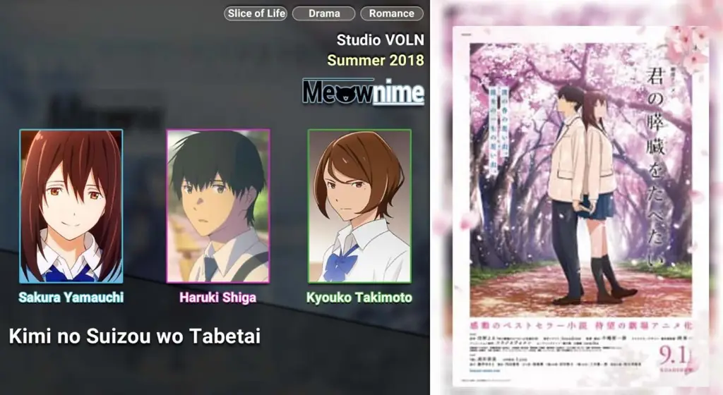 Alasan Kamu Harus Nonton Kimi no Suizou wo Tabetai Anime