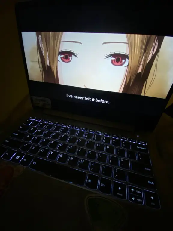 Menikmati anime dengan kualitas HD Gambar seseorang menonton anime di laptop