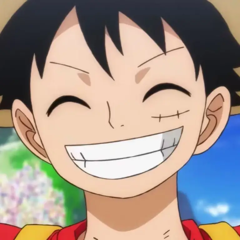 Menonton Anime dengan Aman dan Nyaman Karakter One Piece menonton anime dengan aman