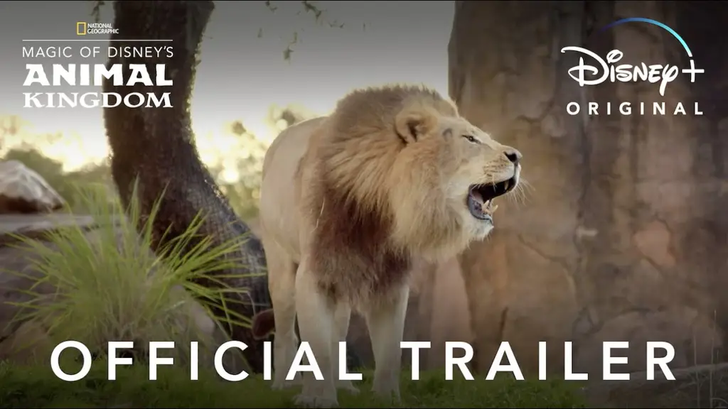 Animal Kingdom Season 6: Tanggal Rilis, Pemain, dan Cara Nonton