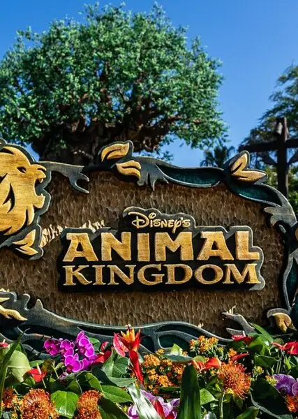 Download Animal Kingdom: Pilihan Platform Streaming dan Legalitasnya