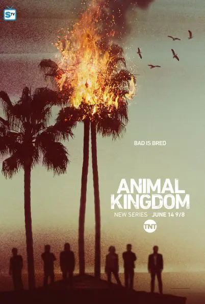 Poster menarik serial Animal Kingdom Poster resmi serial Animal Kingdom
