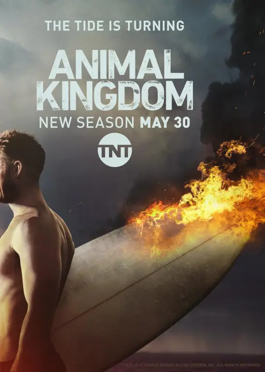 Download Animal Kingdom Season 1: Petualangan Keluarga Cody