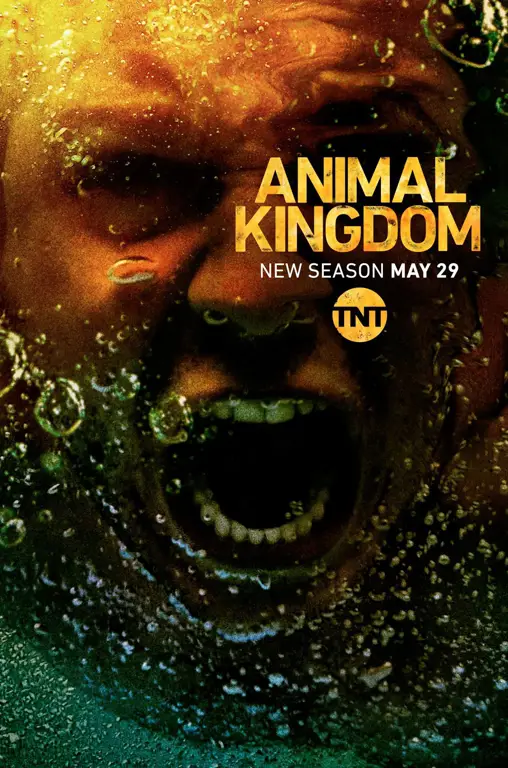 Download Animal Kingdom Sub Indo: Mudah dan Gratis?