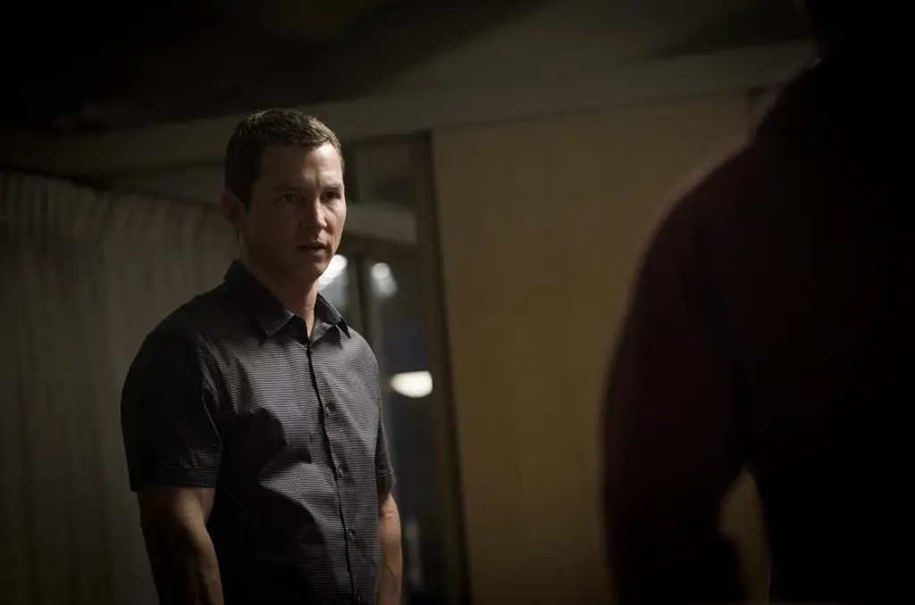 Link Streaming Animal Kingdom Season 1: Tanpa Ribet dan Aman