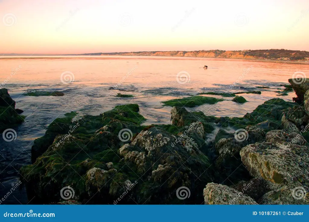 Pemandangan indah Southern California yang kontras dengan kehidupan gelap para karakter Pemandangan pantai di Southern California