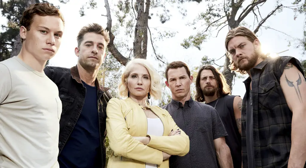 Streaming Animal Kingdom Season 1: Perjalanan Hidup J