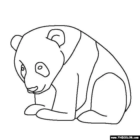 Kegemasan Bayi Panda Bayi Panda yang Lucu