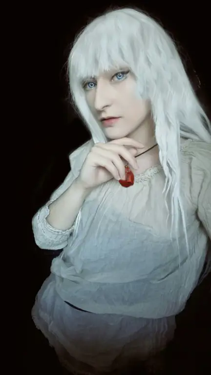 Griffith, sosok pemimpin yang penuh misteri Griffith, pemimpin karismatik Band of the Hawk