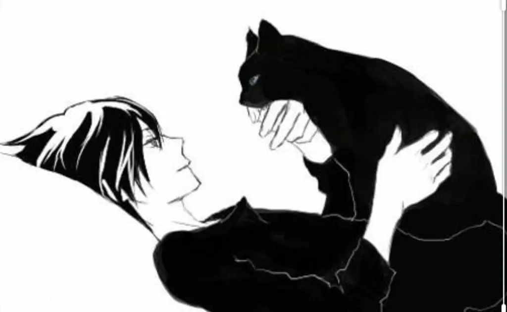 Nonton Black Cat Sub Indo Kualitas HD Tanpa Buffering