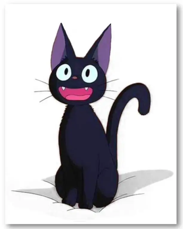 Beberapa karakter penting dalam anime Black Cat Karakter-karakter dalam anime Black Cat