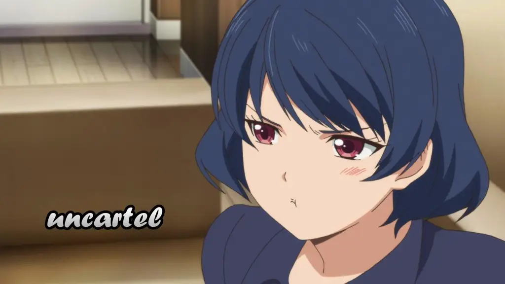Alasan Kenapa Kamu Harus Nonton Anime Domestic Girlfriend