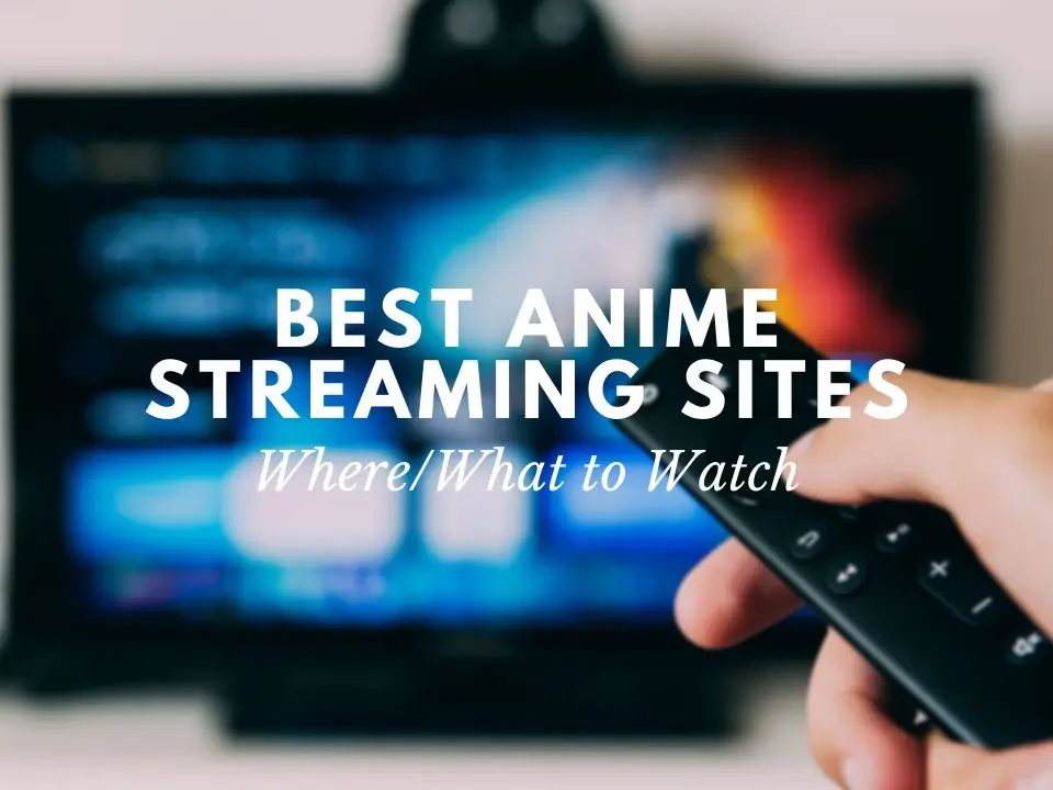 Membandingkan Platform Streaming Anime Legal Perbandingan antarmuka dan fitur beberapa platform streaming anime legal