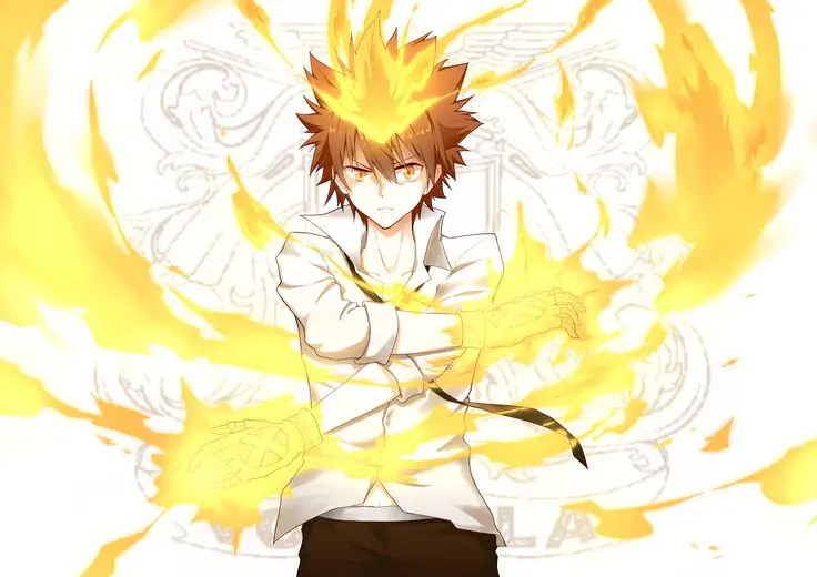 Tsuna Sawada, Pemimpin Keluarga Vongola X Gambar Tsuna Sawada, tokoh utama dalam anime Katekyo Hitman Reborn!