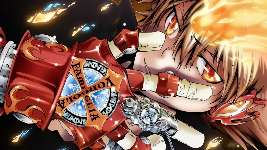 Reborn, Si Bayi Pembunuh Bayaran Gambar Reborn, tutor sekaligus penjaga Tsuna Sawada