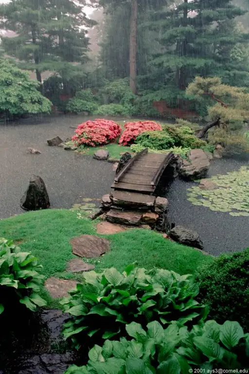 Suasana hujan di taman Jepang Pemandangan taman Jepang saat hujan