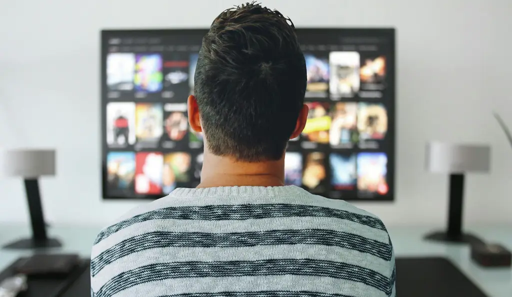 Tips Aman Streaming Online Gambar tips keamanan streaming online