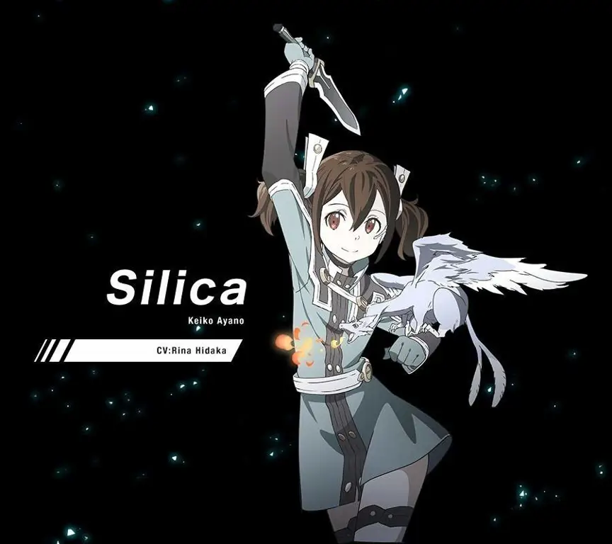 Para Karakter Utama Karakter-karakter utama dalam Sword Art Online Ordinal Scale