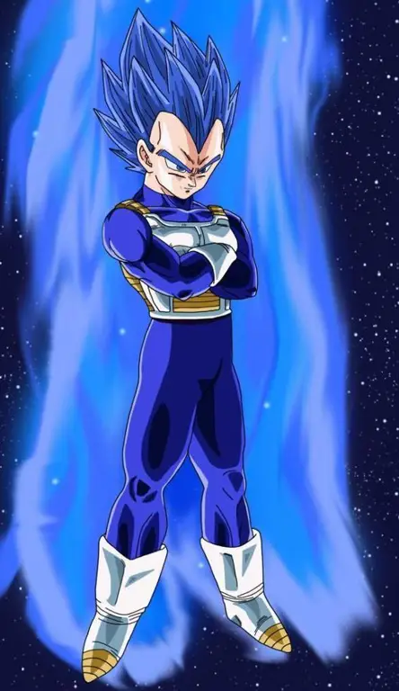 Para karakter Super Dragon Ball Heroes yang ikonik Gambar karakter-karakter Super Dragon Ball Heroes