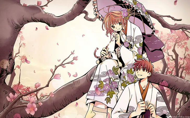 Streaming Tsubasa Sub Indo Gratis: Situs Legal dan Aman